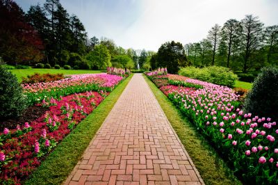 Add a Visually Appealing Garden Area!