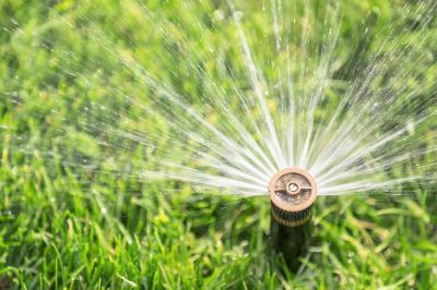 Lawn Sprinkler System