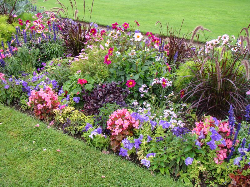 Colorful Flower Bed